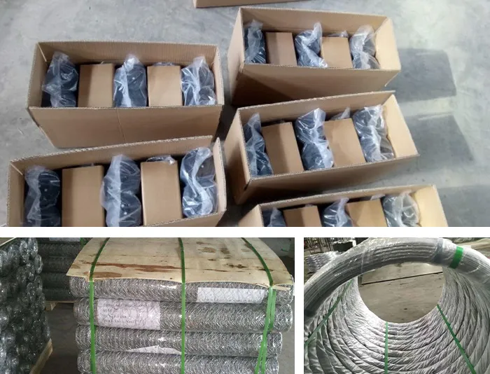 Packaging and Logistics Services