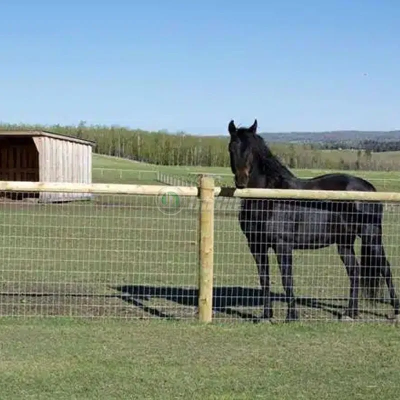 Hinge Joint Field Fence