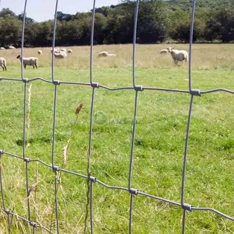 Hinge Joint Field Fence