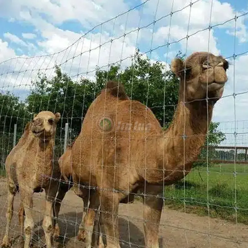 Fixed Knot Deer Fence