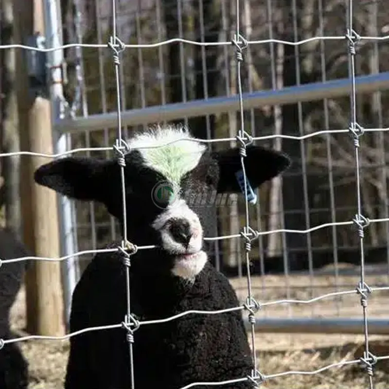 Fixed Knot Deer Fence