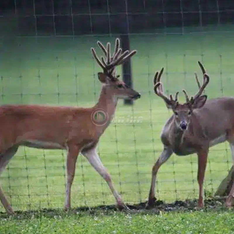 Fixed Knot Deer Fence