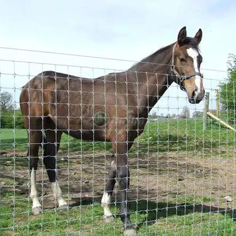 Fixed Knot Deer Fence