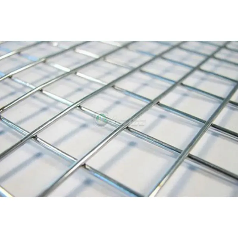 Welded Wire Mesh