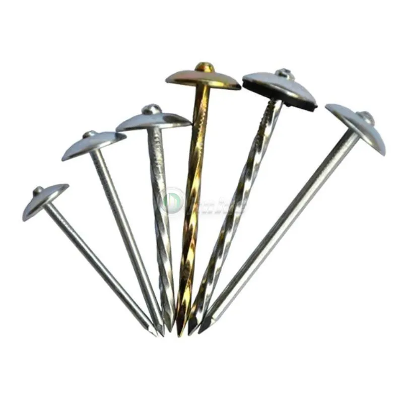 Roofing Nail