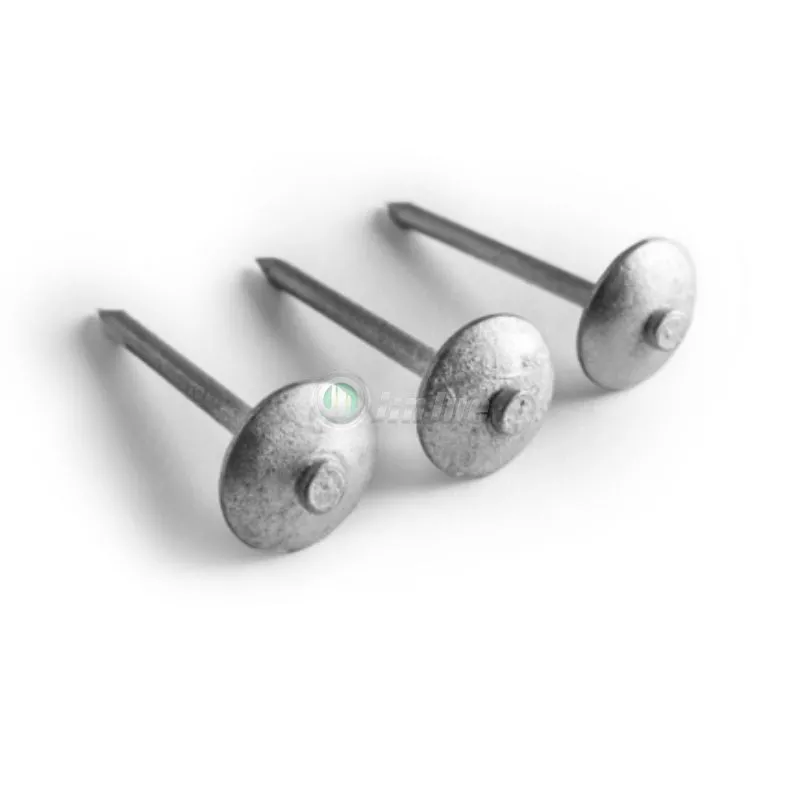 Roofing Nail