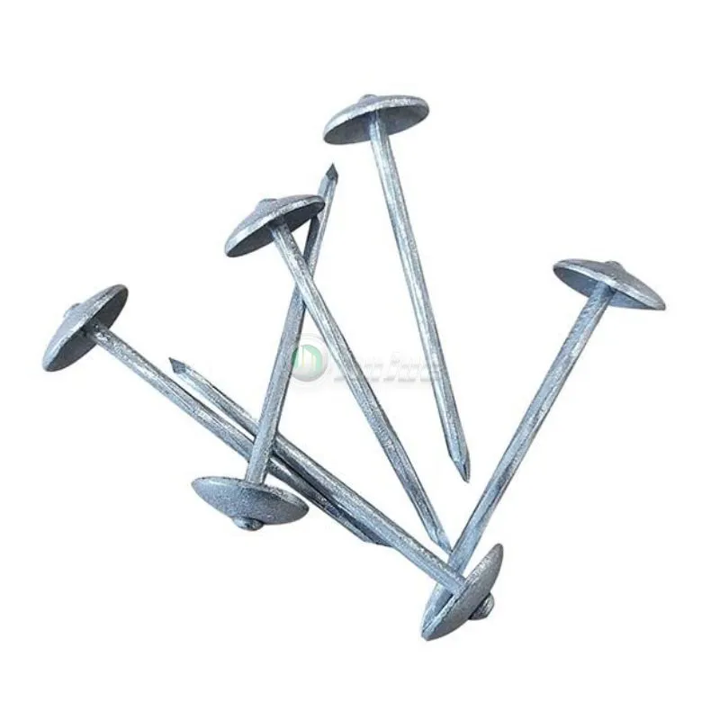 Roofing Nail