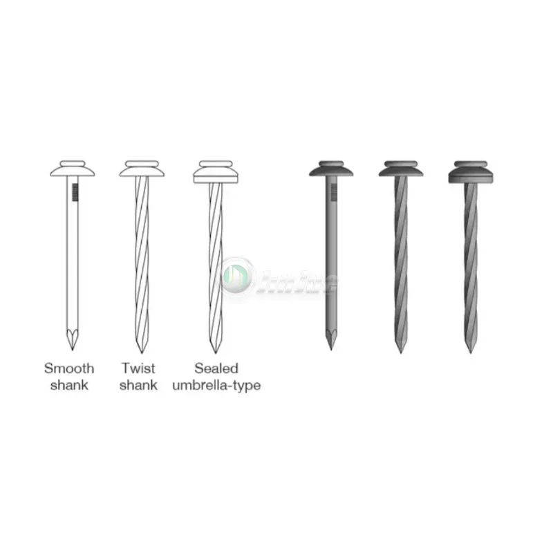 Roofing Nail