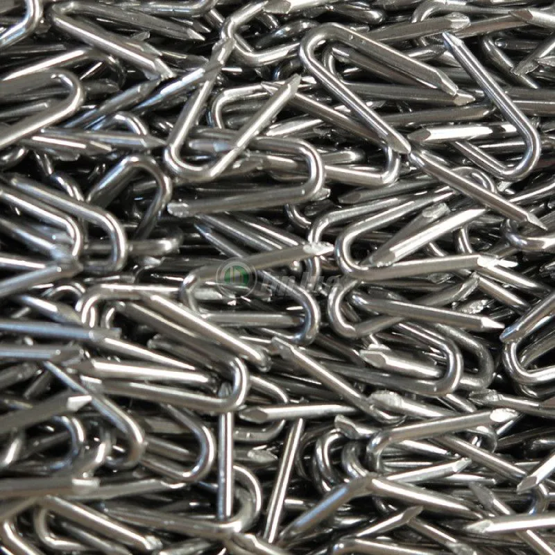 U Type Nail