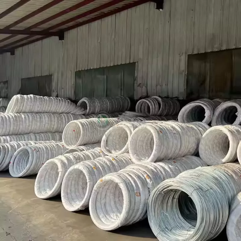 Electro Galvanized Wire
