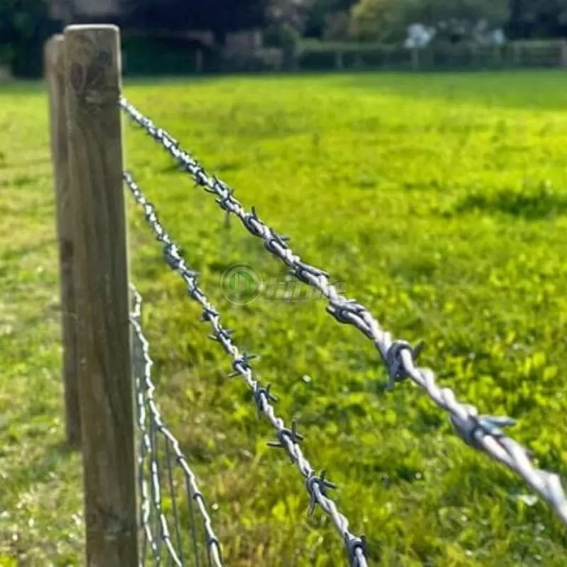 Barbed wire