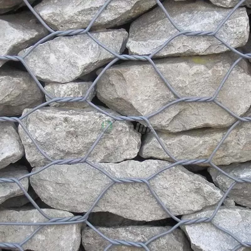 Gabion mesh