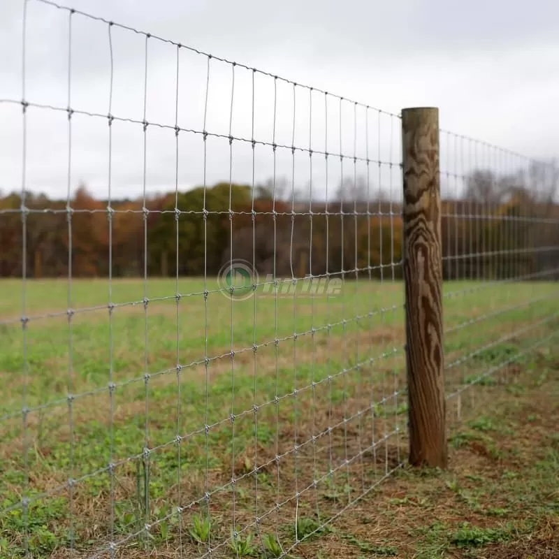 CATTLE FENCE