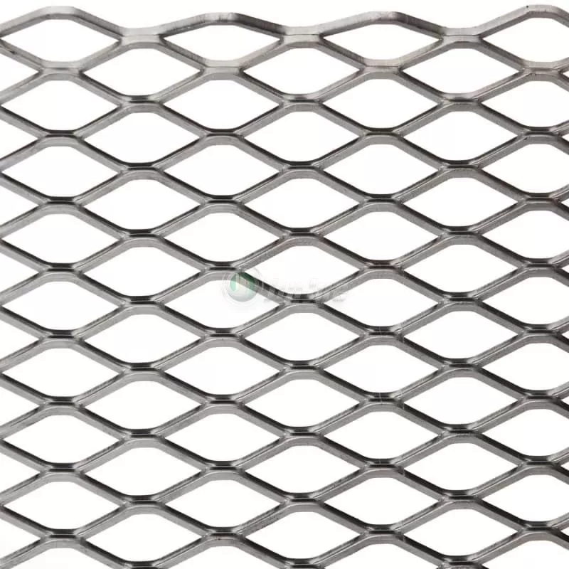 expanded mesh2