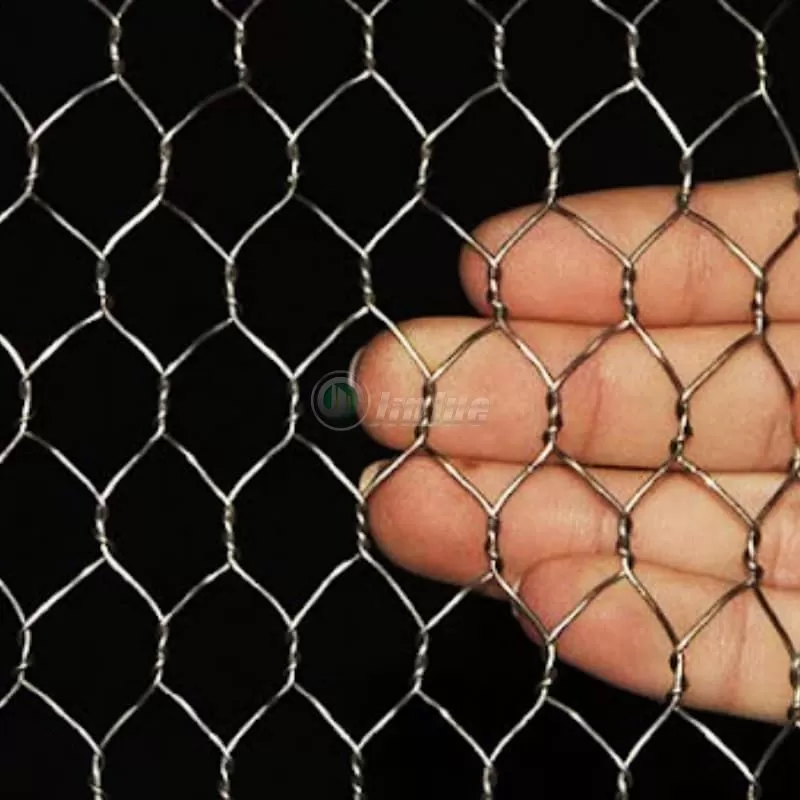 hexagonal mesh 1