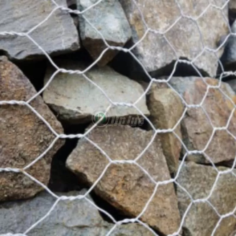 Gabion mesh1