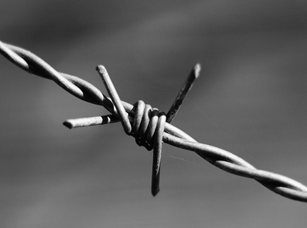 Jinjue Wire Mesh Expands Security Solutions with High-Performance Barbed Wire and Razor Wire